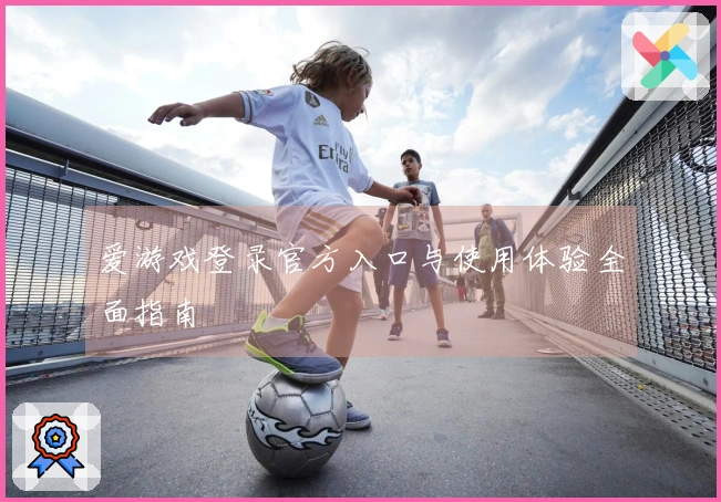 爱游戏登录官方入口与使用体验全面指南