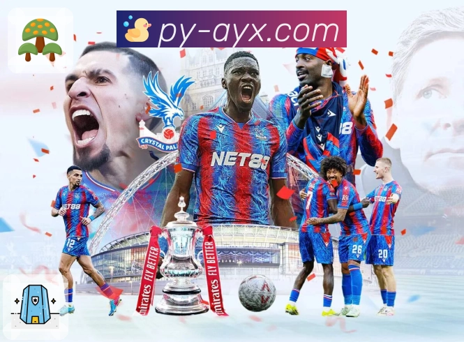 赛事资讯与专题回顾